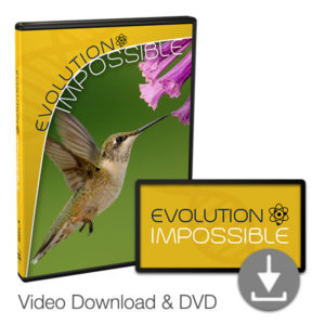 Evolution Impossible
