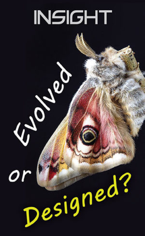 INSIGHT Tract - Evolved or Designed?