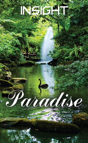 INSIGHT Tract - Paradise