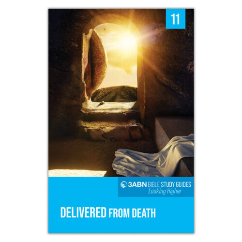 1 Set of 3ABN Study Guides: Looking Higher - Image 13
