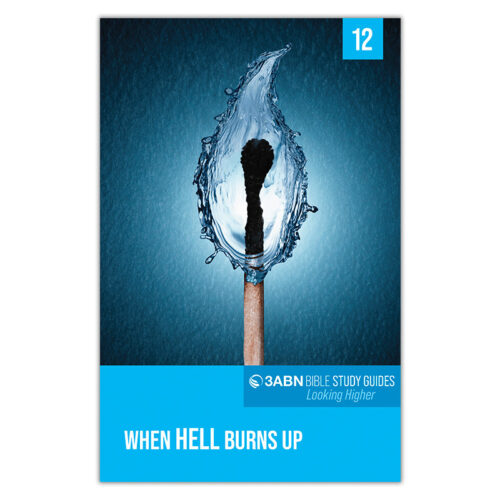 1 Set of 3ABN Study Guides: Looking Higher - Image 14