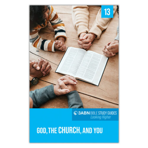 1 Set of 3ABN Study Guides: Looking Higher - Image 15