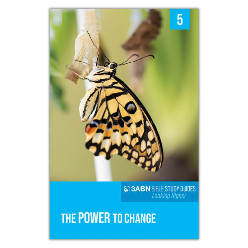 1 Set of 3ABN Study Guides: Looking Higher - Image 7